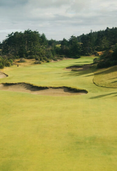 Hole 15