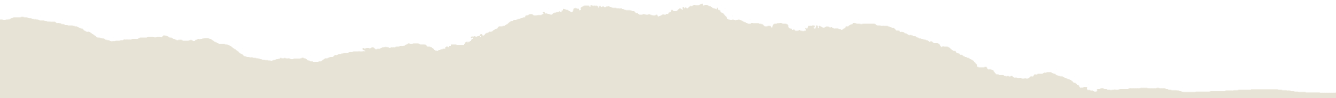 Bottom Border